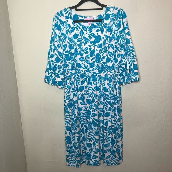 Lilly Pulitzer Dresses Lilly Pulitzer Blue And White Butterfly